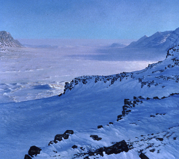 David Rosenthal Oil Painting Cordova Alaska, Anuktuvuk Pass Morniing Brooks Range image